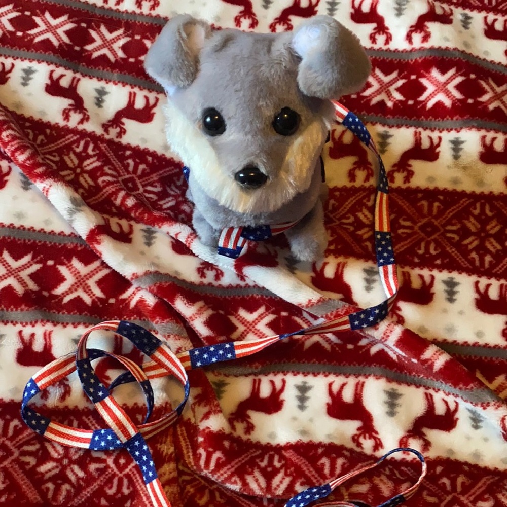 Stuffed dog squeaker toy